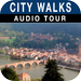 Charming Heidelberg Tour